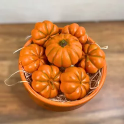  Bloomi.hu