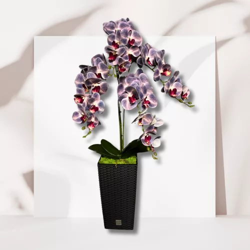  Bloomi.hu