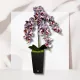  Bloomi.hu