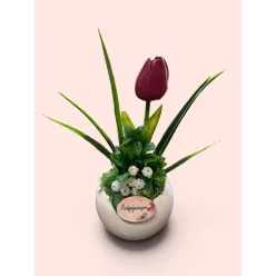 Pedagógus napi ajándék- Tulipánnal
