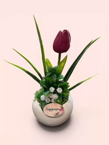 Pedagógus napi ajándék- Tulipánnal