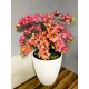  Bloomi.hu
