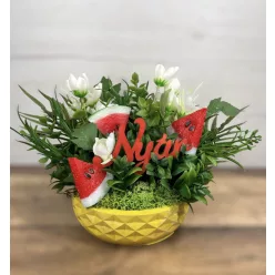  Bloomi.hu