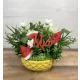  Bloomi.hu