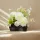  Bloomi.hu