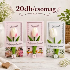 Pedagógusnapi köszöntő kártya 20db/ csomag ( 3 féle )