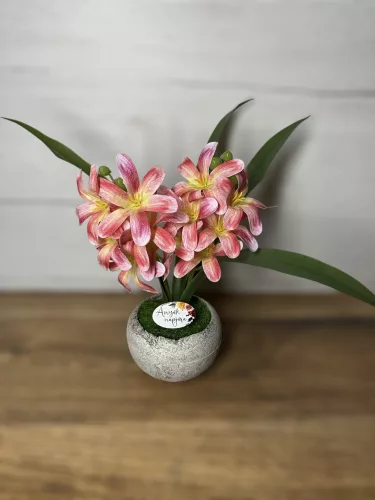  Bloomi.hu