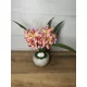  Bloomi.hu