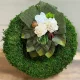  Bloomi.hu