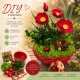Nyári dekoráció - – Pipacskert – Csináld magad asztaldísz – DIY – nyári dekoráció 