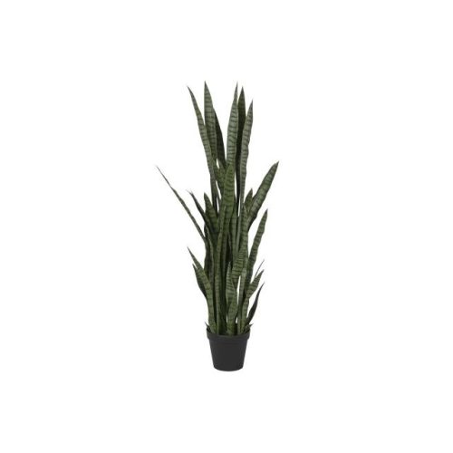 Selyemvirág Sansevieria cserepes 40x40x150 cm