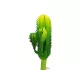  Bloomi.hu