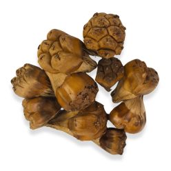 Tevetalp termés 10db/csomag