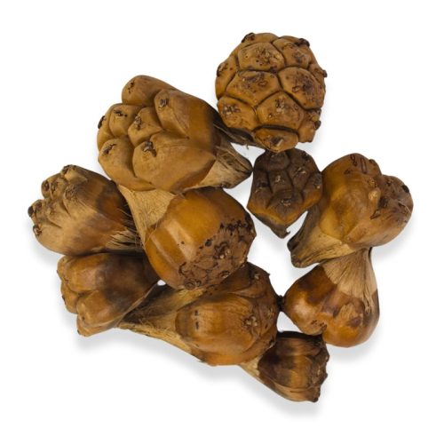 Tevetalp termés 10db/csomag