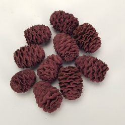 Cédrus toboz mályva 10db/csomag