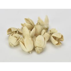 Bakuli fehérített termés 10db/csomag