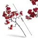  Bloomi.hu