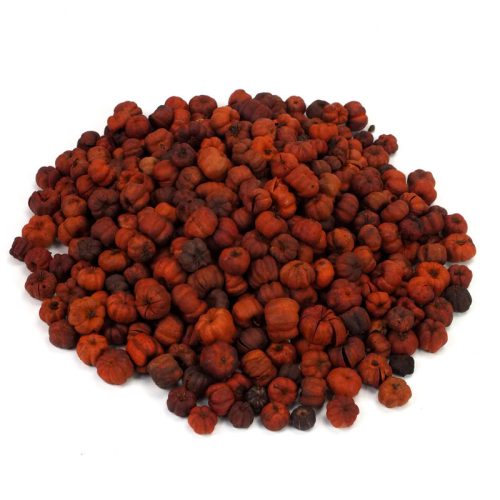 Tökbogyó narancs 100 gramm/csom (kb. 360 db) - OKOSÁR!