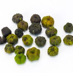 Tökbogyó zöld 20db/csomag