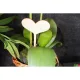  Bloomi.hu
