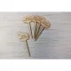  Bloomi.hu