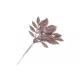  Bloomi.hu