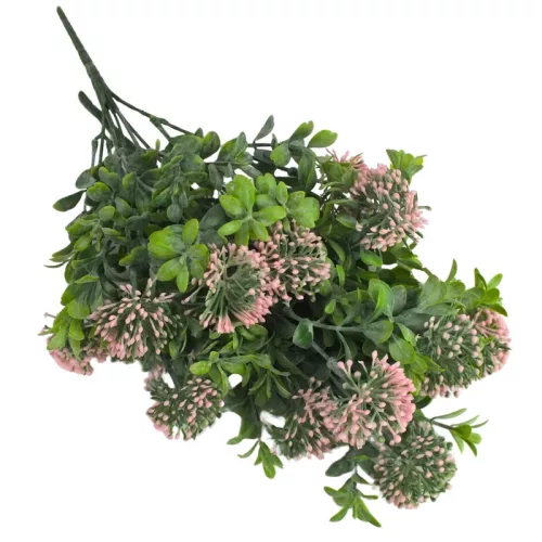  Bloomi.hu
