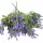  Bloomi.hu