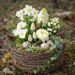  Bloomi.hu