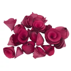  Bloomi.hu