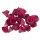  Bloomi.hu