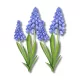  Bloomi.hu