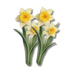  Bloomi.hu