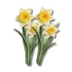  Bloomi.hu