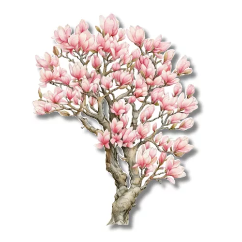  Bloomi.hu