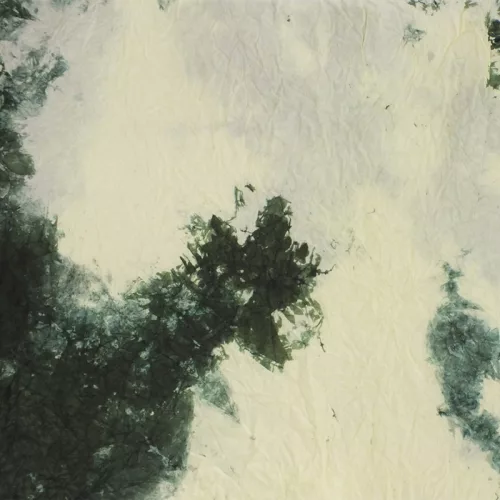  Bloomi.hu