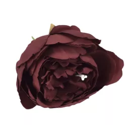  Bloomi.hu