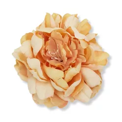  Bloomi.hu