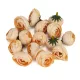  Bloomi.hu