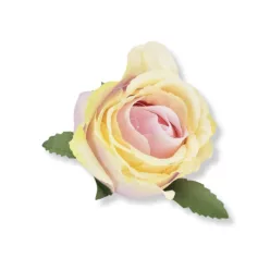  Bloomi.hu