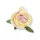  Bloomi.hu