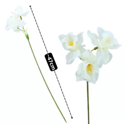  Bloomi.hu