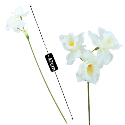  Bloomi.hu