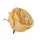  Bloomi.hu