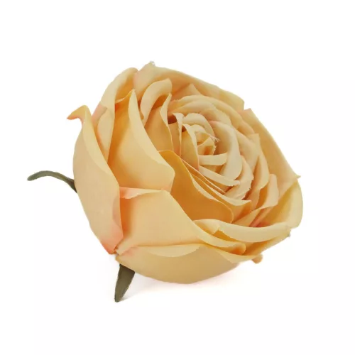  Bloomi.hu