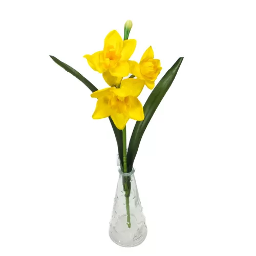  Bloomi.hu