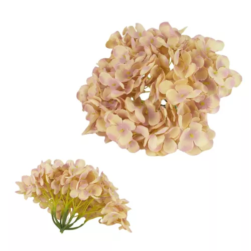 Bloomi.hu