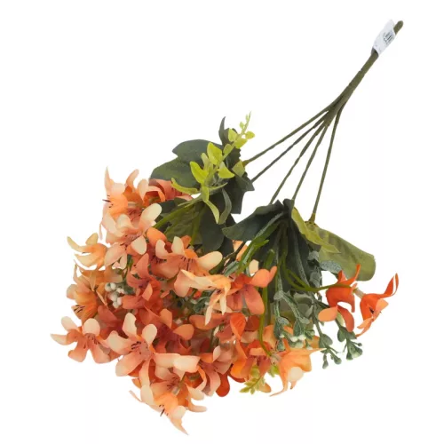  Bloomi.hu