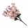  Bloomi.hu