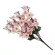  Bloomi.hu